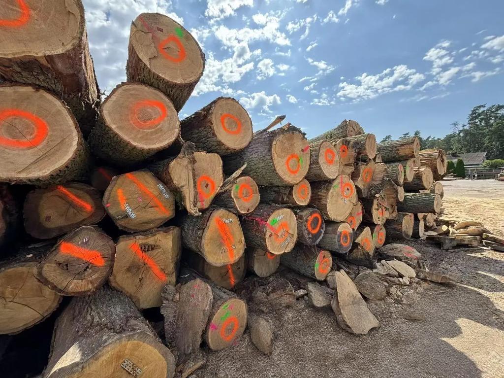 Eiche – Rundholz – LKW-Ladung