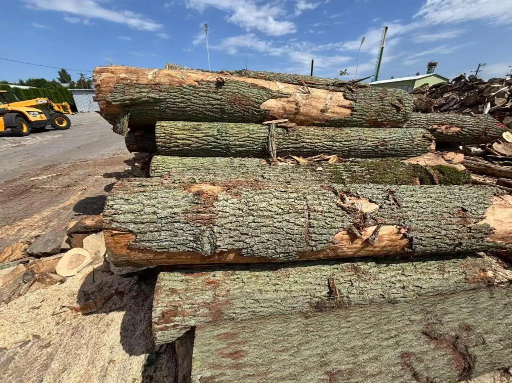 Eiche – Rundholz – LKW-Ladung