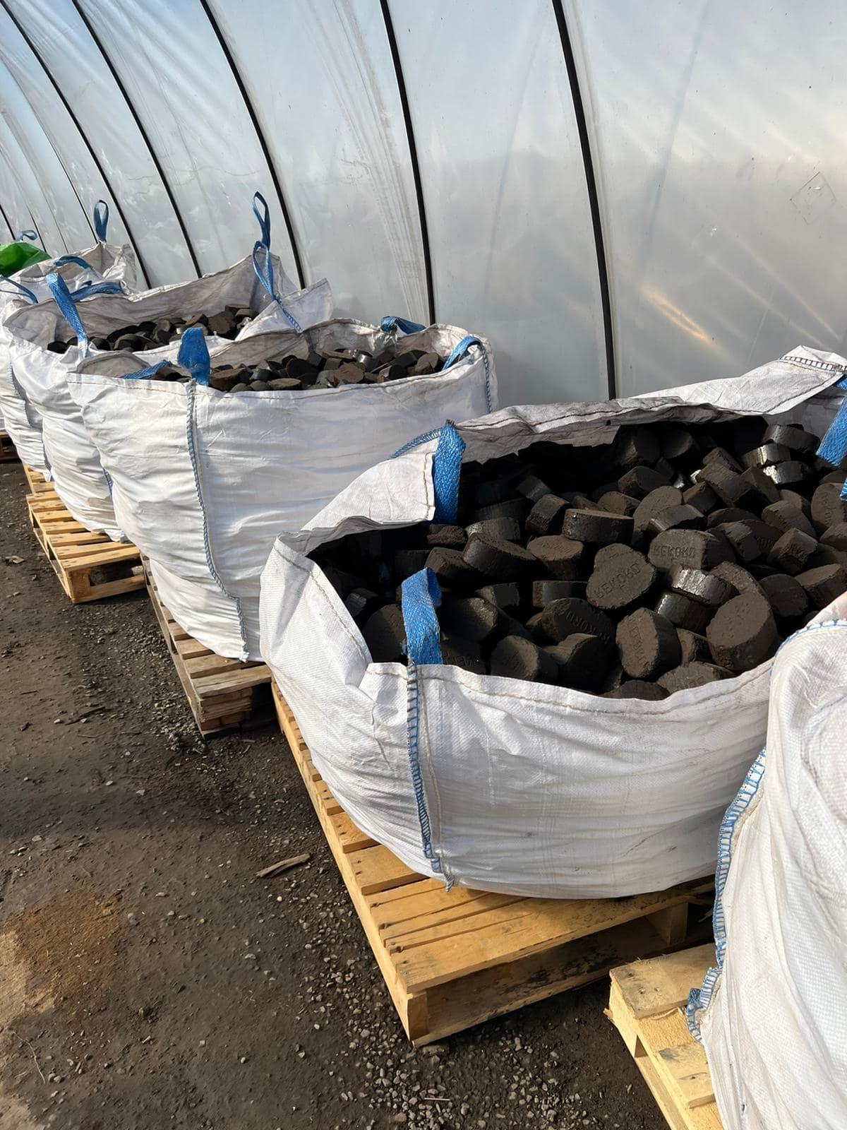 REKORD 500 kg Kohle-Briketts